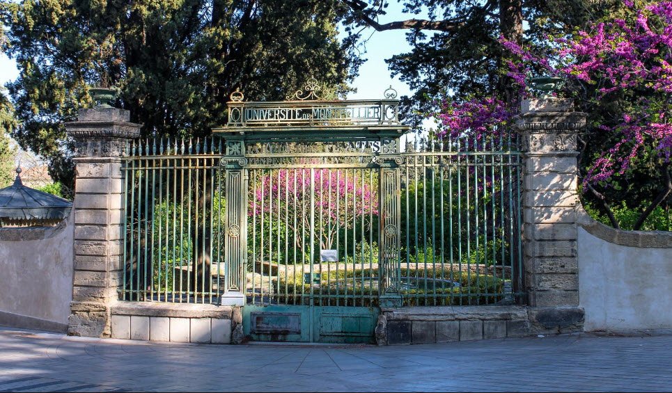 Jardin des Plantes de Montpellier , , France